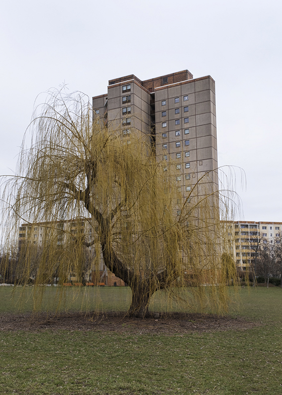 9767_Berlin_23_photo_birgit_kaulfuss