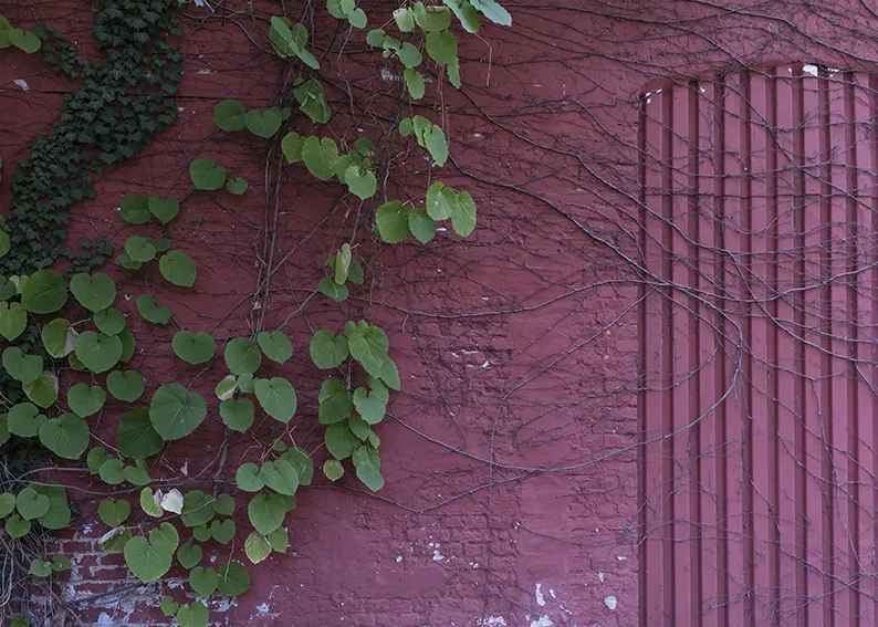 30_DSCF8822