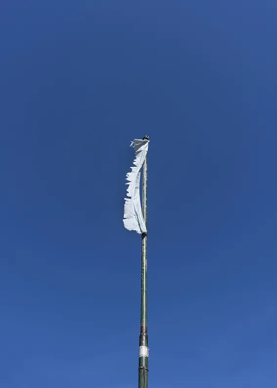51_6984_flag_26_photo_birgit_kaulfuss